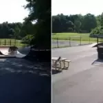 Concord - Carlisle Skatepark - Concord