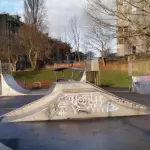 Bow Street Skatepark - East Bank