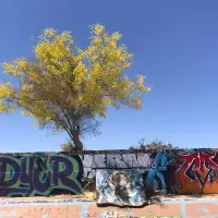 Slab City Skatepark - Photo Rob Norland