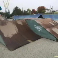 Depot park skatepark